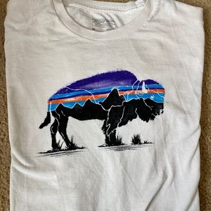 Patagonia T-shirt